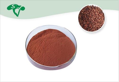 Organic Grape Seed Extract Powder